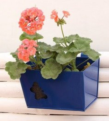 Rectangular Garden Planters - Metal(#1651)-gallery-2