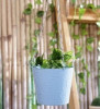 Hanging Garden Planters(#1657)-thumb-5