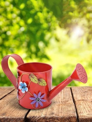 Hand Colored Round Metal Watering Can- Gardening Tool(#1659)-gallery-2