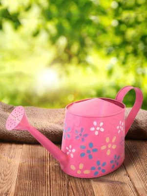 Hand Colored Round Metal Watering Can- Gardening Tool(#1659)-gallery-3