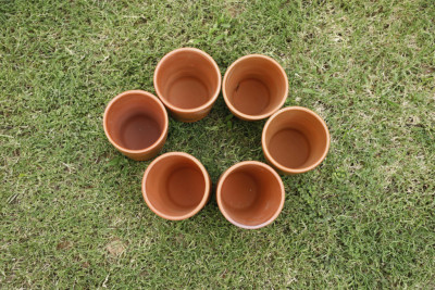 Glass Set(#1833)-gallery-1