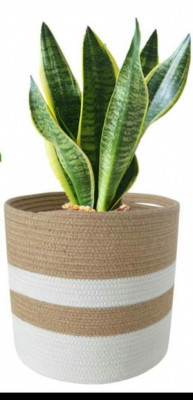 Cotton Basket (White Beige)(#1969)-gallery-0