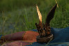 BRASS HANDICRAFT PRODUCTS(#2136)-thumb-3