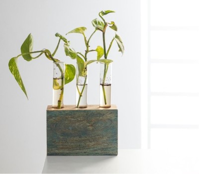 Kashtham Hand Painted Mango Wood Succulent Holder with3 Test Tubes(#2313)-gallery-1