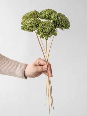 Dried Flowers(#2822)-gallery-1