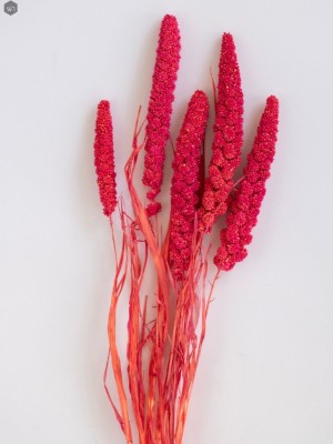 Dried Flowers(#2822)-gallery-4