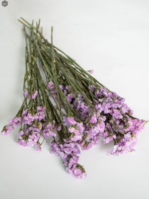 Dried Flowers(#2822)-gallery-6