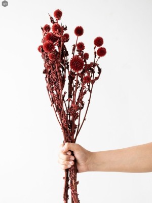 Dried Flowers(#2822)-gallery-8