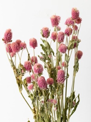 Dried Flowers(#2822)-gallery-11