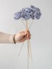 Dried Flowers(#2822)-thumb-0