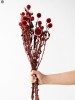 Dried Flowers(#2822)-thumb-8