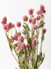 Dried Flowers(#2822)-thumb-11