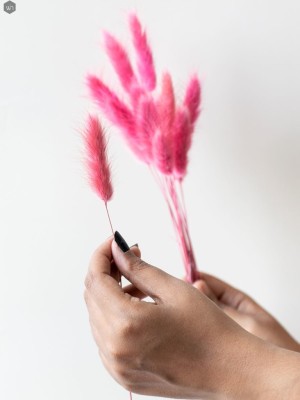 Pampas Grass(#2823)-gallery-3