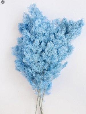 Pampas Grass(#2823)-gallery-4