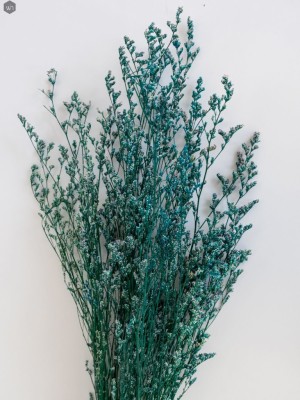 Pampas Grass(#2823)-gallery-5