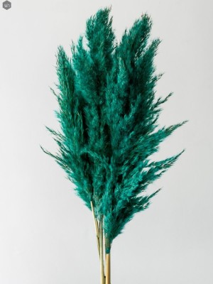 Pampas Grass(#2823)-gallery-15