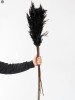 Pampas Grass(#2823)-thumb-6