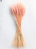 Pampas Grass(#2823)-thumb-14