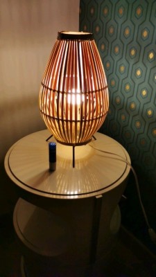 Modern oval shapped bamboo stand lamp(#2883)-gallery-1