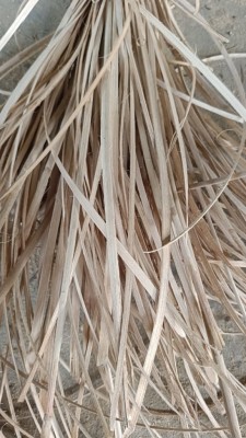 Natural Rattan Peel - Weaving Material - Indian Quality - 5mm to 6mm(#3092)-gallery-3